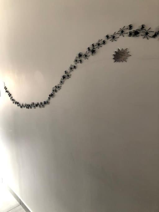 Maison Harry Potter Pour 6 Personnes En Centre Ville Montauban Esterno foto