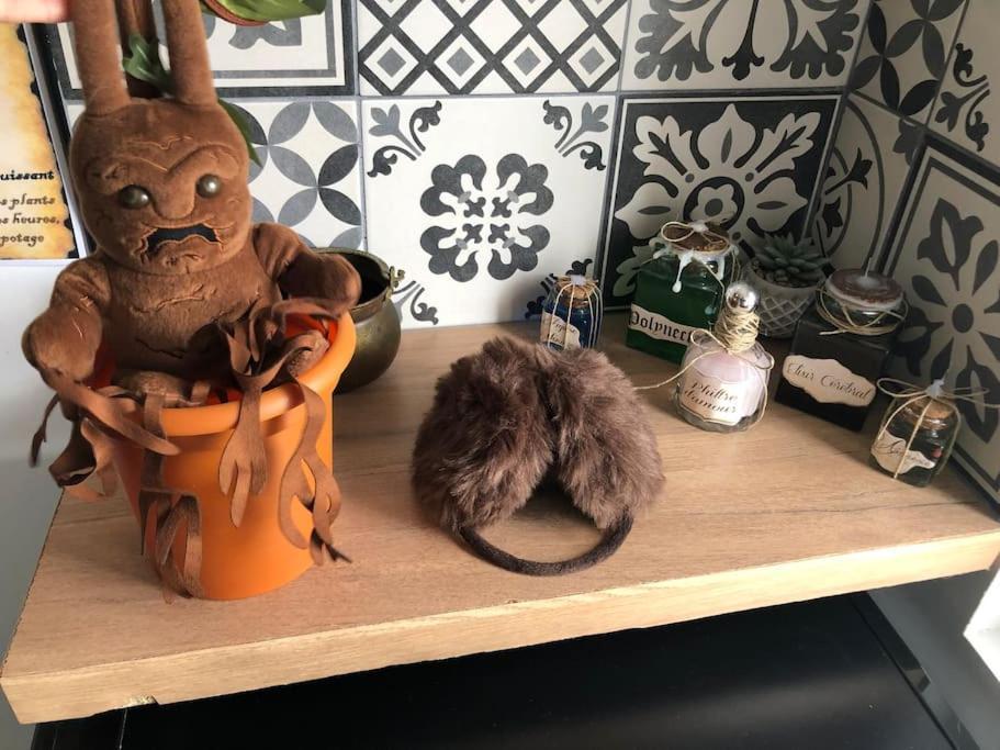 Maison Harry Potter Pour 6 Personnes En Centre Ville Montauban Esterno foto
