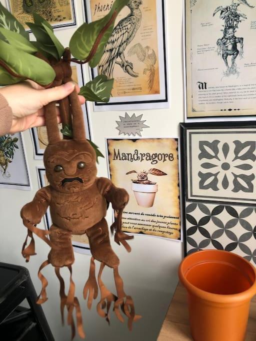 Maison Harry Potter Pour 6 Personnes En Centre Ville Montauban Esterno foto